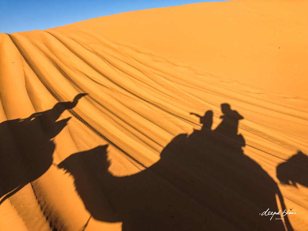 Todayfarer-family-Merzouga-Sahara-Morocco-riding-camels-silhouettes-sand-dunes