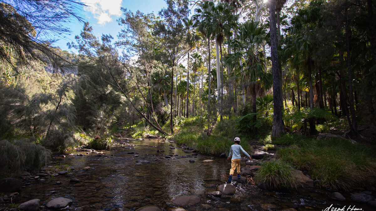Carnarvon Gorge with kids – 7 reasons some people don’t visit, but you should