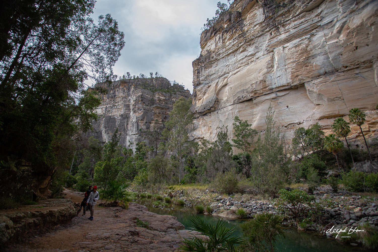 Carnarvon Gorge with kids - kids walking through the gorge along the river
