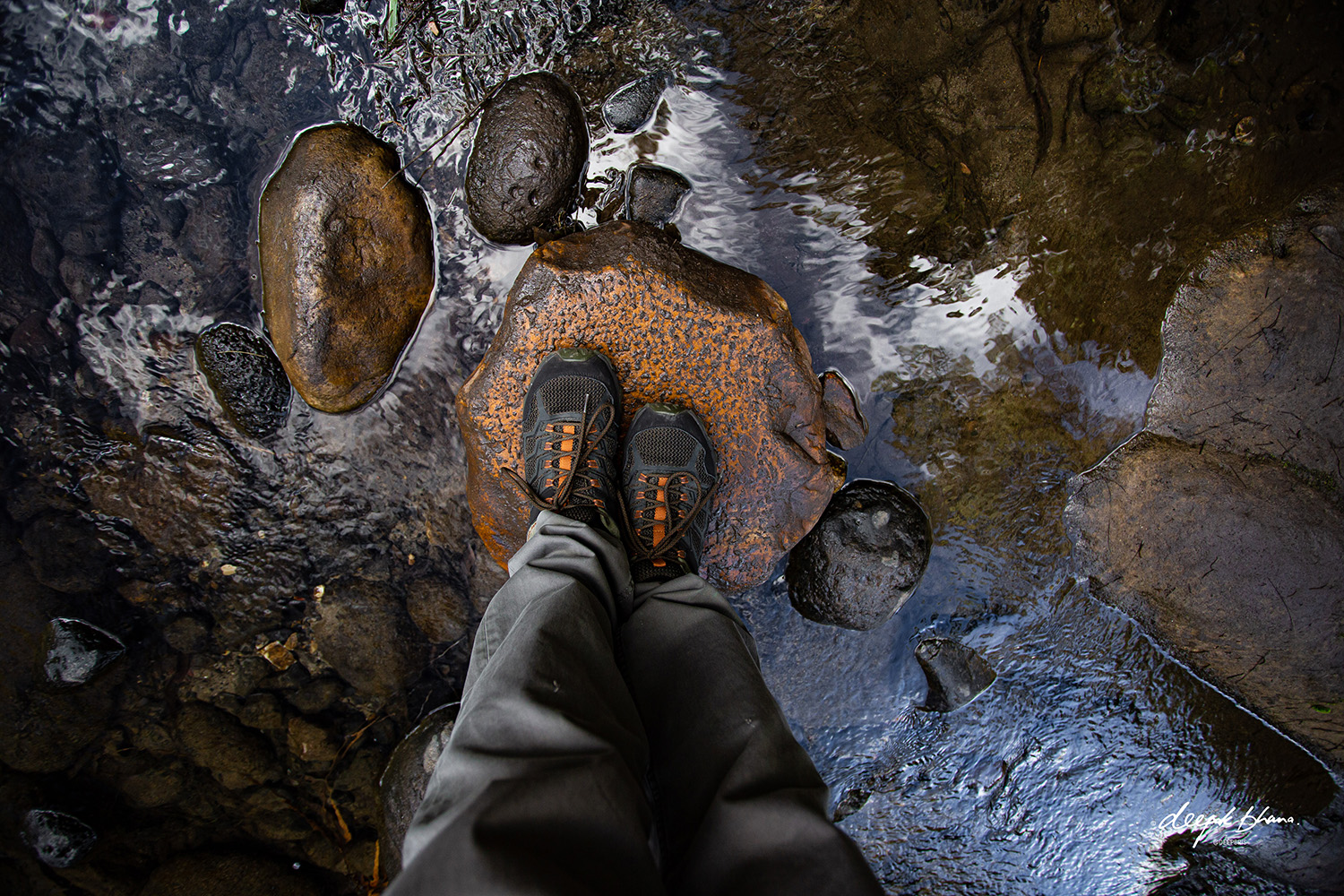 Carnarvon Gorge - hiking shoes on orange stepping stones across the creek