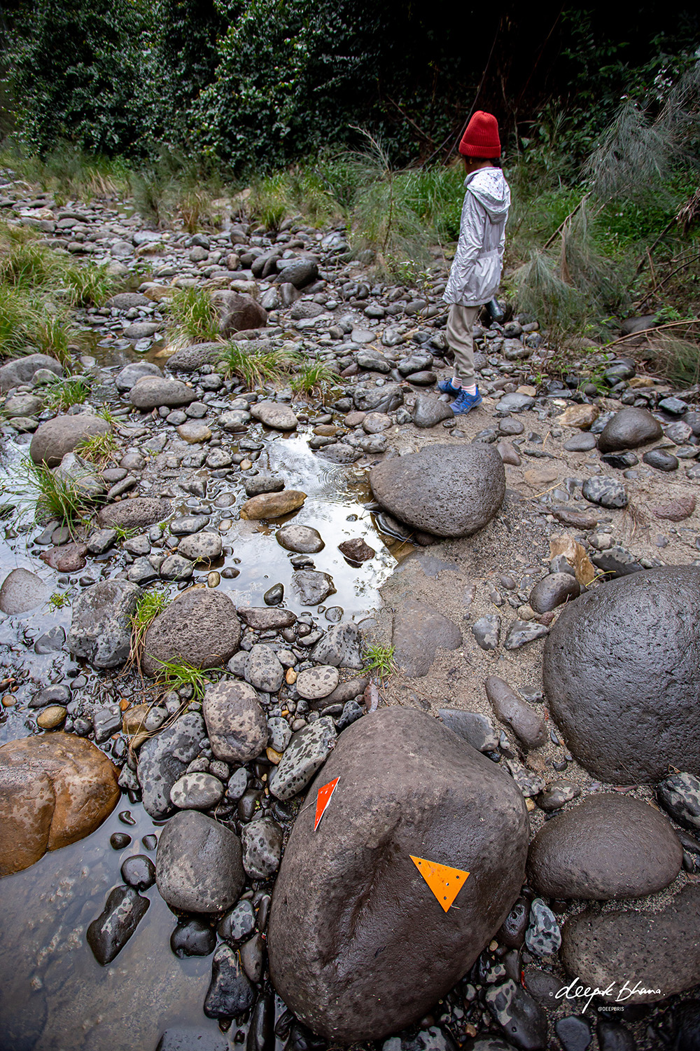 Carnarvon Gorge with kids - following the trail markers