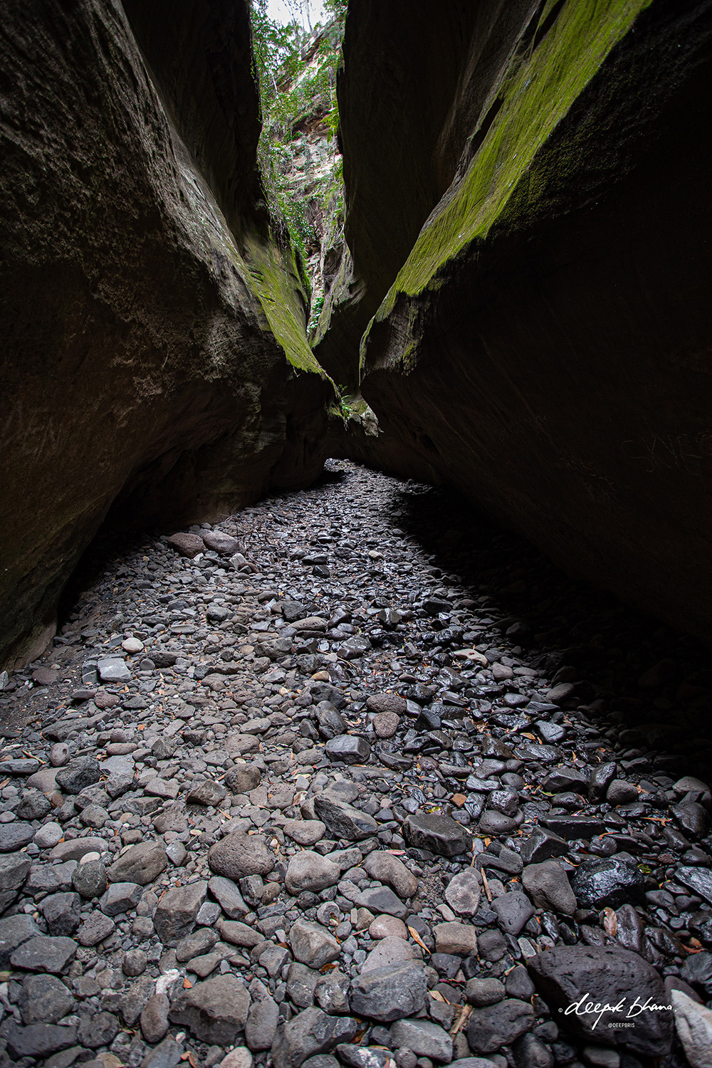 Carnarvon Gorge - Boowinda Gorge