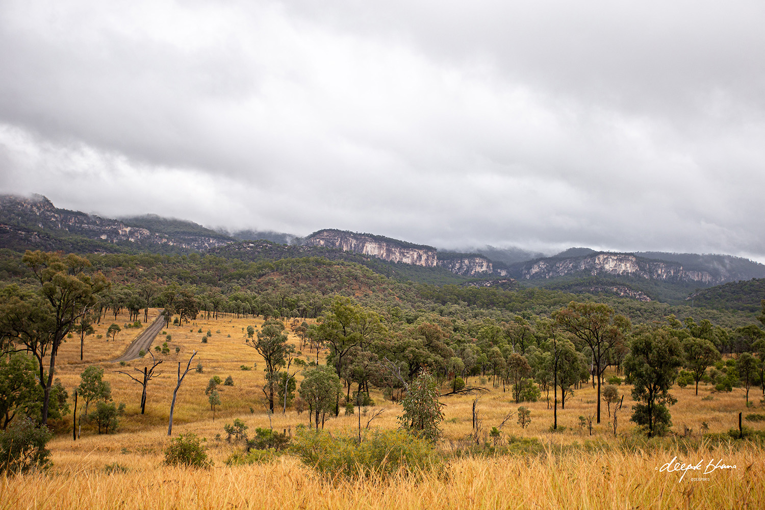 Carnarvon Gorge with kids - sandstone cliffs